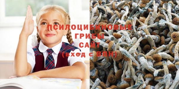 меф Алексин