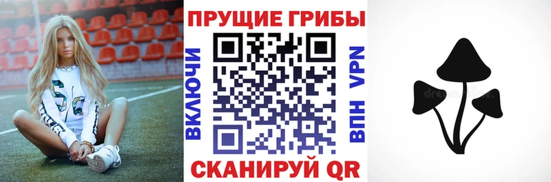 Псилоцибиновые грибы Psilocybe Лаишево